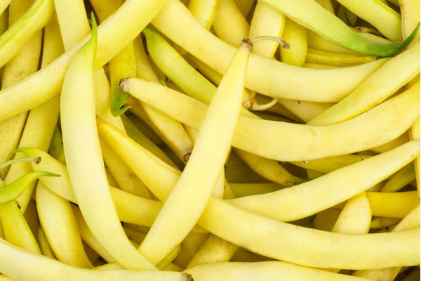 Yellowbeans 